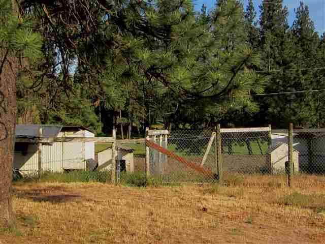 20005 South Spangle Creek Road Spangle, WA 99031 - Photo 14 of 19