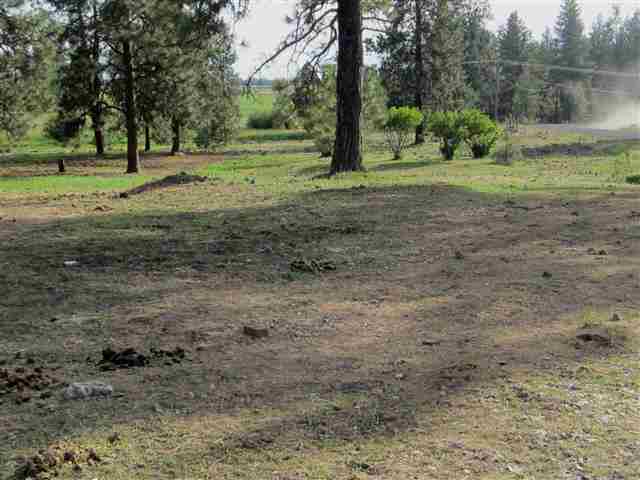 20005 South Spangle Creek Road Spangle, WA 99031 - Photo 16 of 19