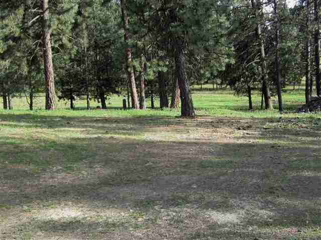 20005 South Spangle Creek Road Spangle, WA 99031 - Photo 17 of 19