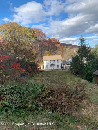 a view of a yard with an trees