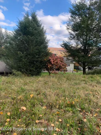 a view of backyard with green space