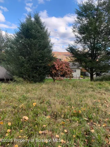 a view of backyard with green space