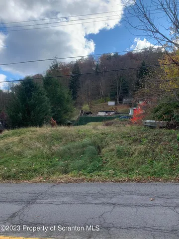 a view of a garden with a bench