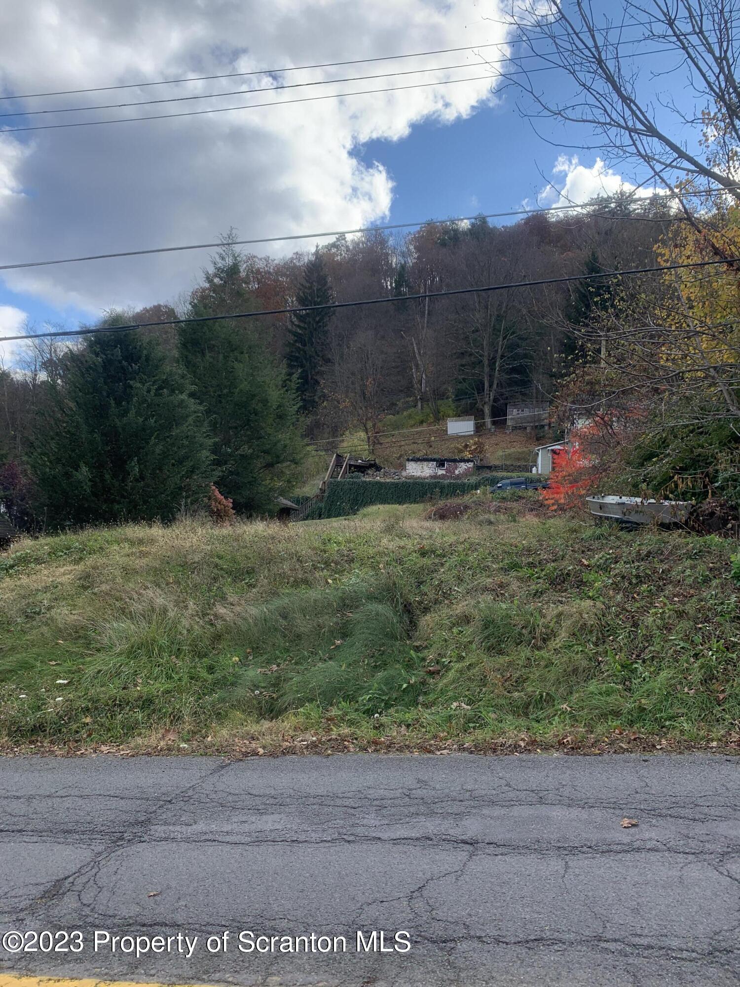 West Butler Street Shickshinny, PA 18655 - Photo 6 of 7 a view of a garden with a bench