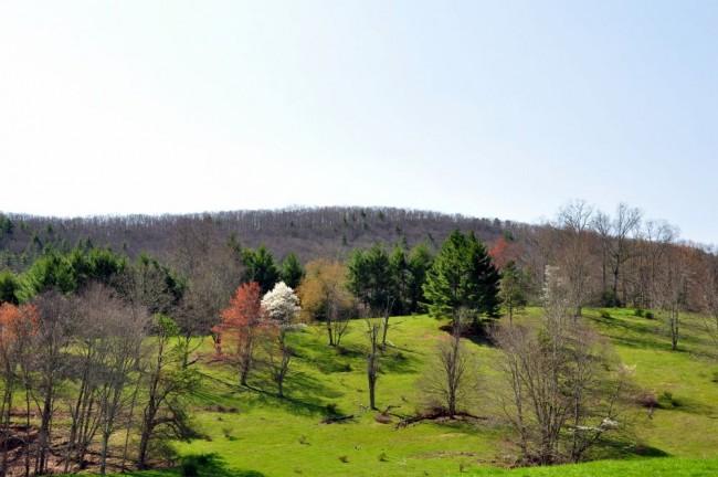 16155 Frost Road Dunmore, WV 24934 - Photo 24 of 35 Gallery Image 24