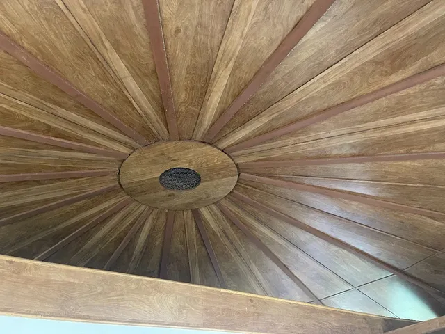 a view of a tree in a garden