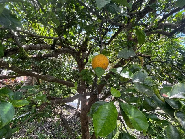a kitchen with granite countertop a stove and a sink