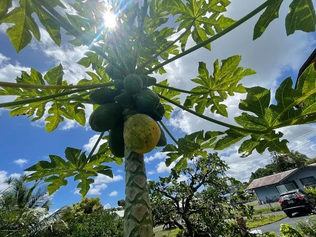 a view of balcony with wooden floor