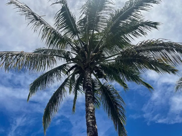 $450,000 | 126 West Kinai Place, Hilo, HI 96720