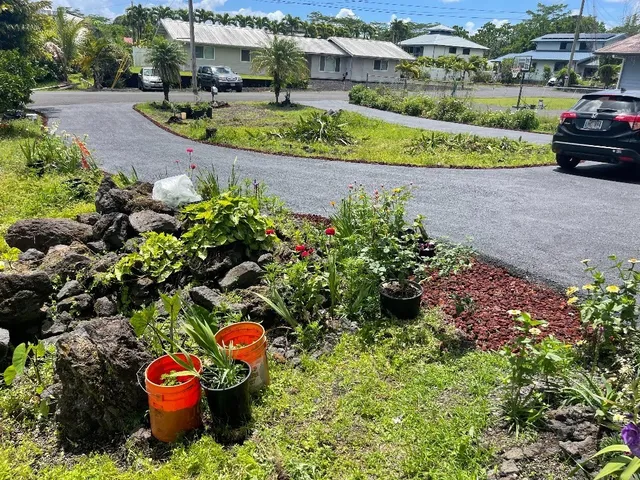 a view of a garden with a bench