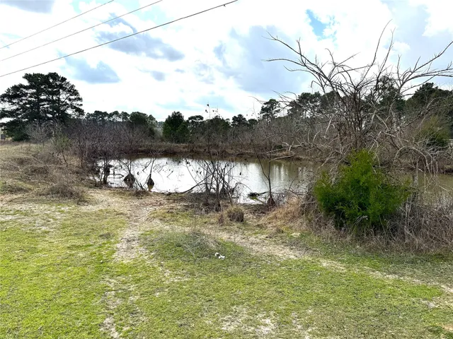 a view of a lake from a yard