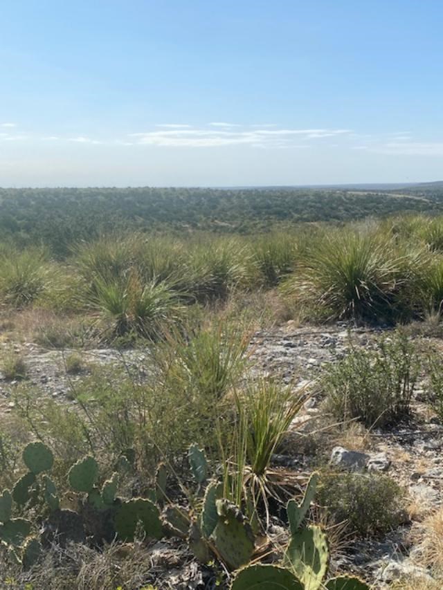 13955 Ranch Road 2523 Del Rio, TX 78840 - Photo 40 of 77