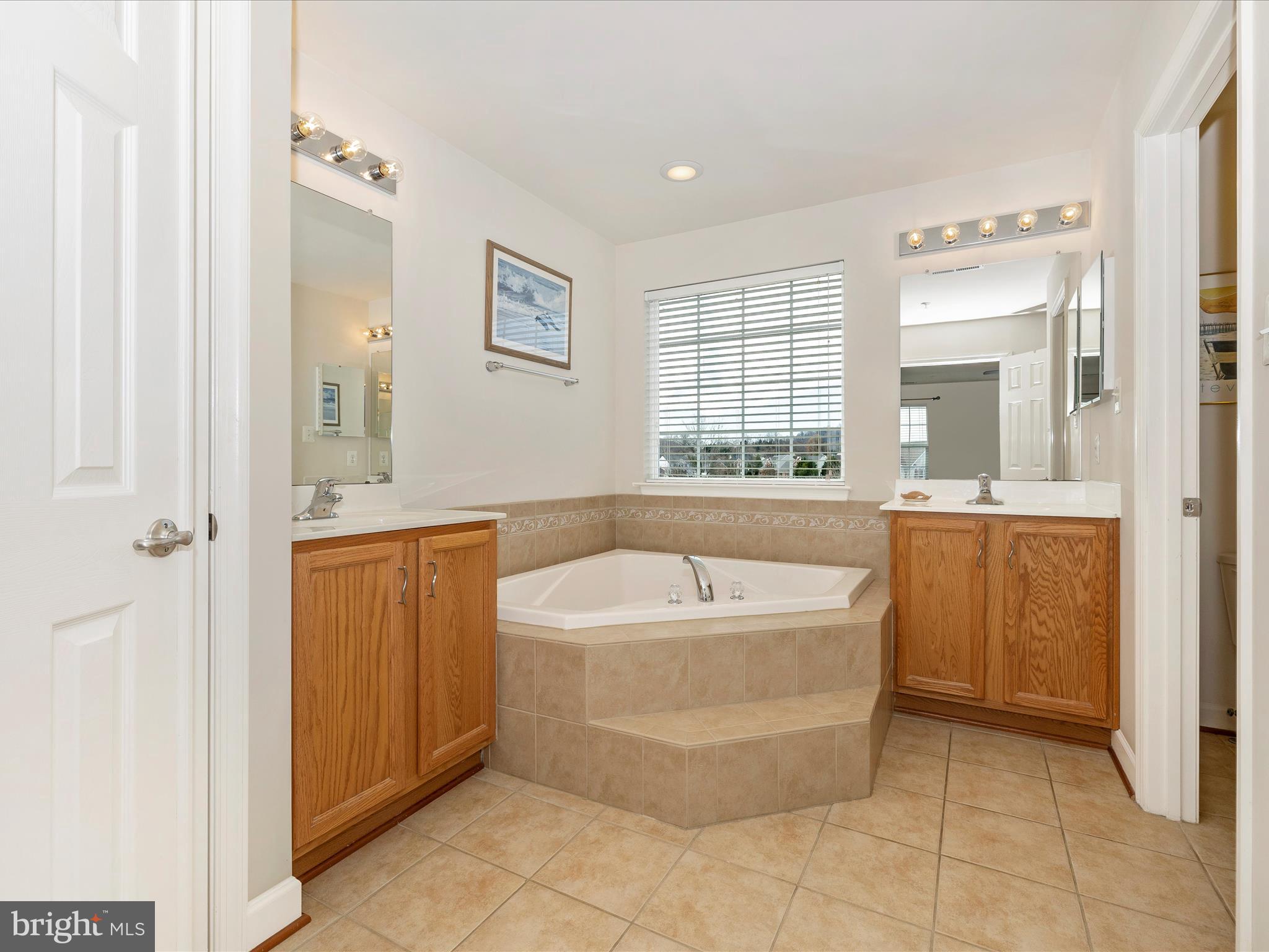 4002 Paw Paw Circle Point of Rocks, MD 21777 - Photo 36 of 63 Primary Bathroom