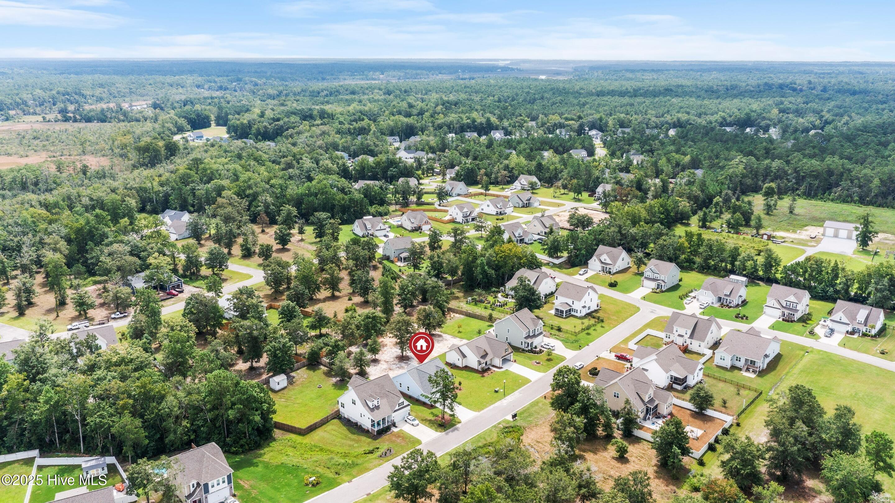 654 Sanctuary Point Southwest Supply, NC 28462 - Photo 68 of 81 mls-DJI_0279 copy