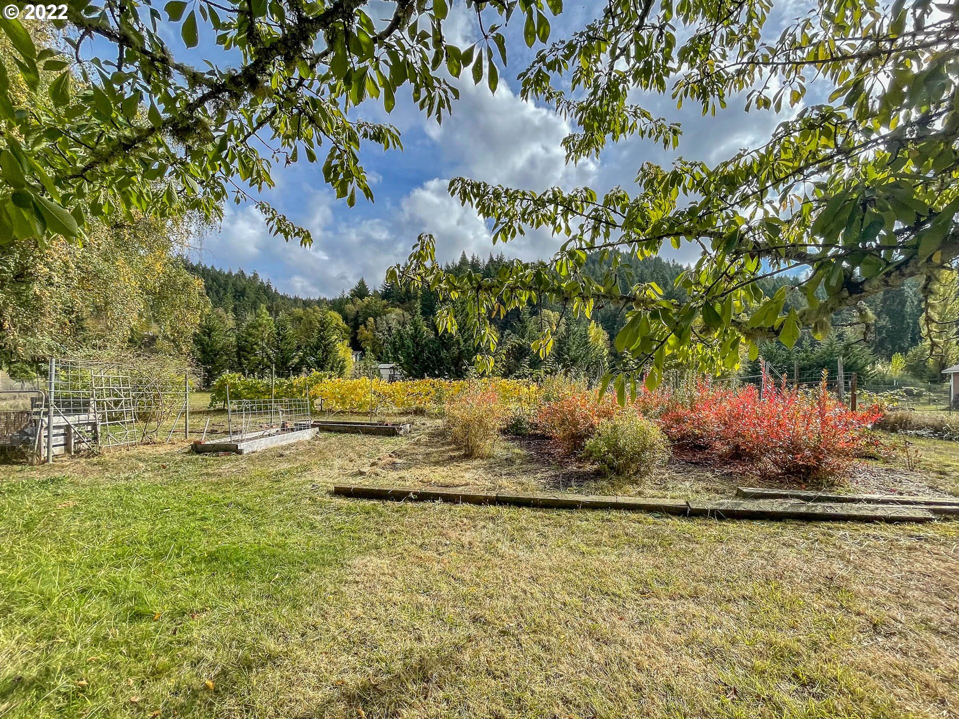 695 Lone Rock Road Glide, OR 97443 - Photo 19 of 48 a view of a yard with swimming pool