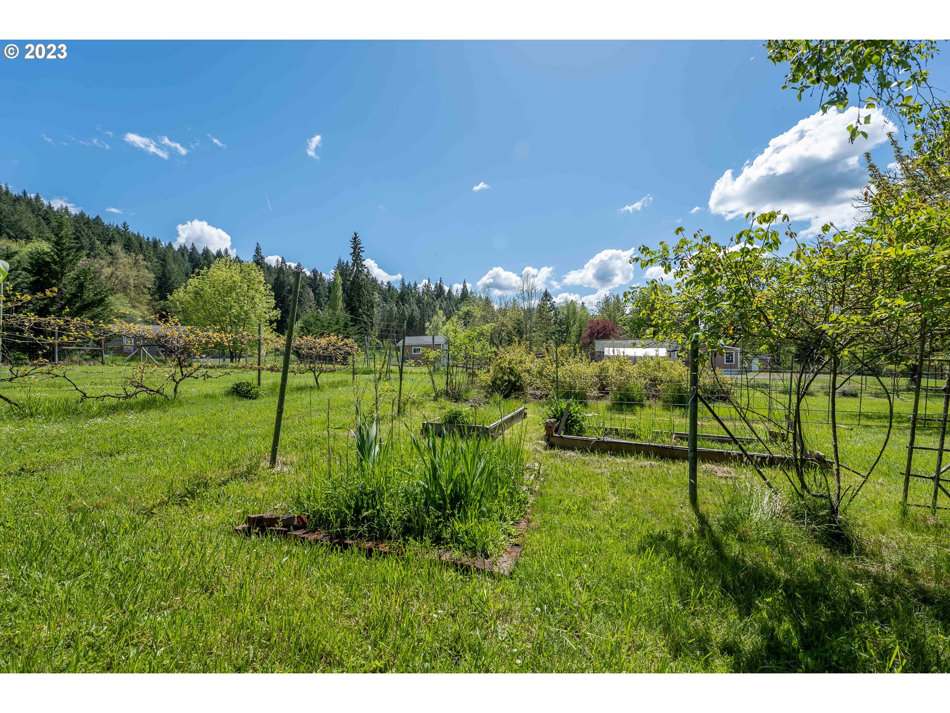 695 Lone Rock Road Glide, OR 97443 - Photo 26 of 48