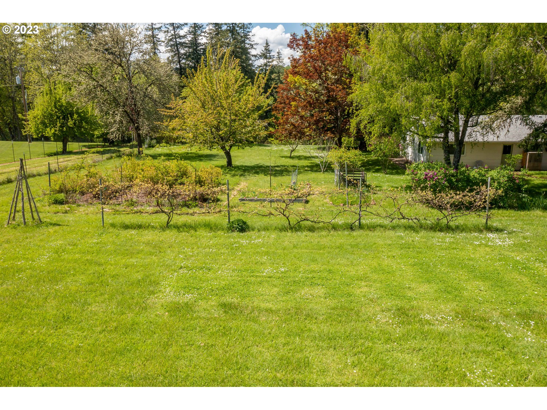 695 Lone Rock Road Glide, OR 97443 - Photo 27 of 48 a view of a garden