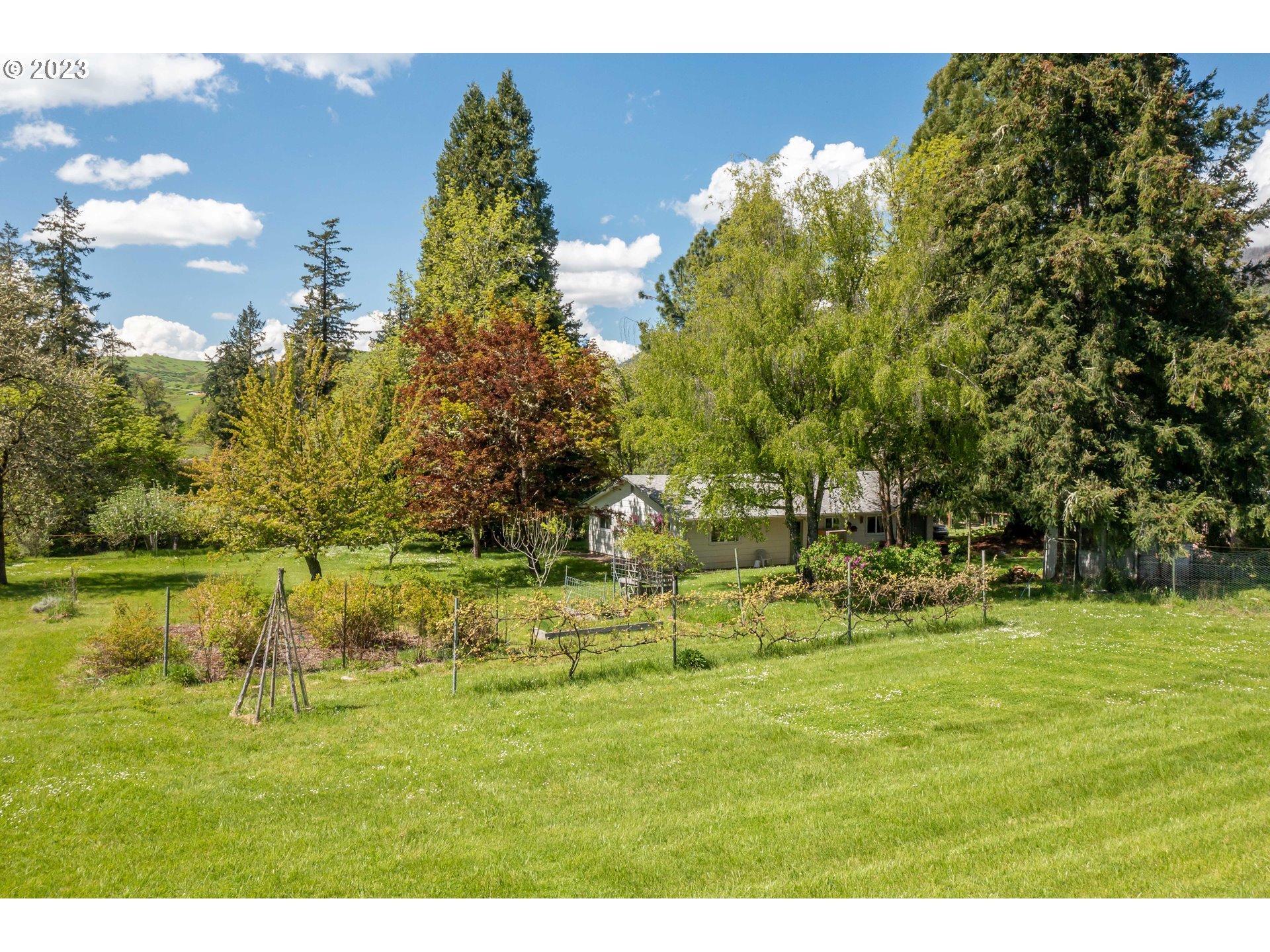 695 Lone Rock Road Glide, OR 97443 - Photo 29 of 48 a view of a garden