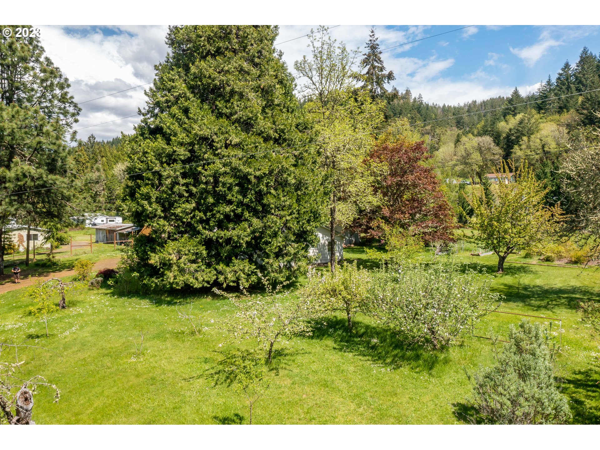 695 Lone Rock Road Glide, OR 97443 - Photo 40 of 48 a view of yard with green space