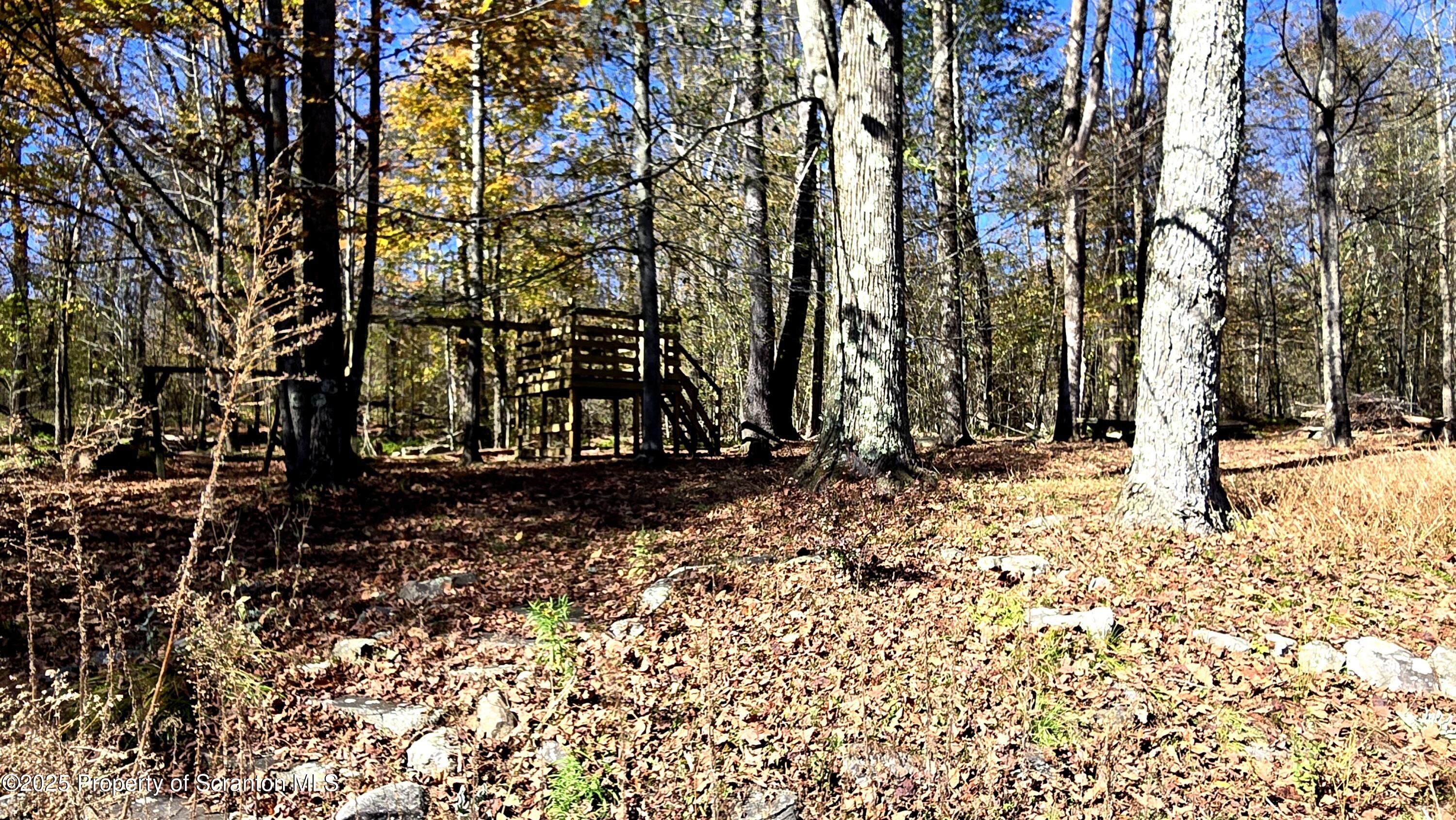 2311 Motichka Road Moscow, PA 18444 - Photo 80 of 89 a view of house with trees in the background