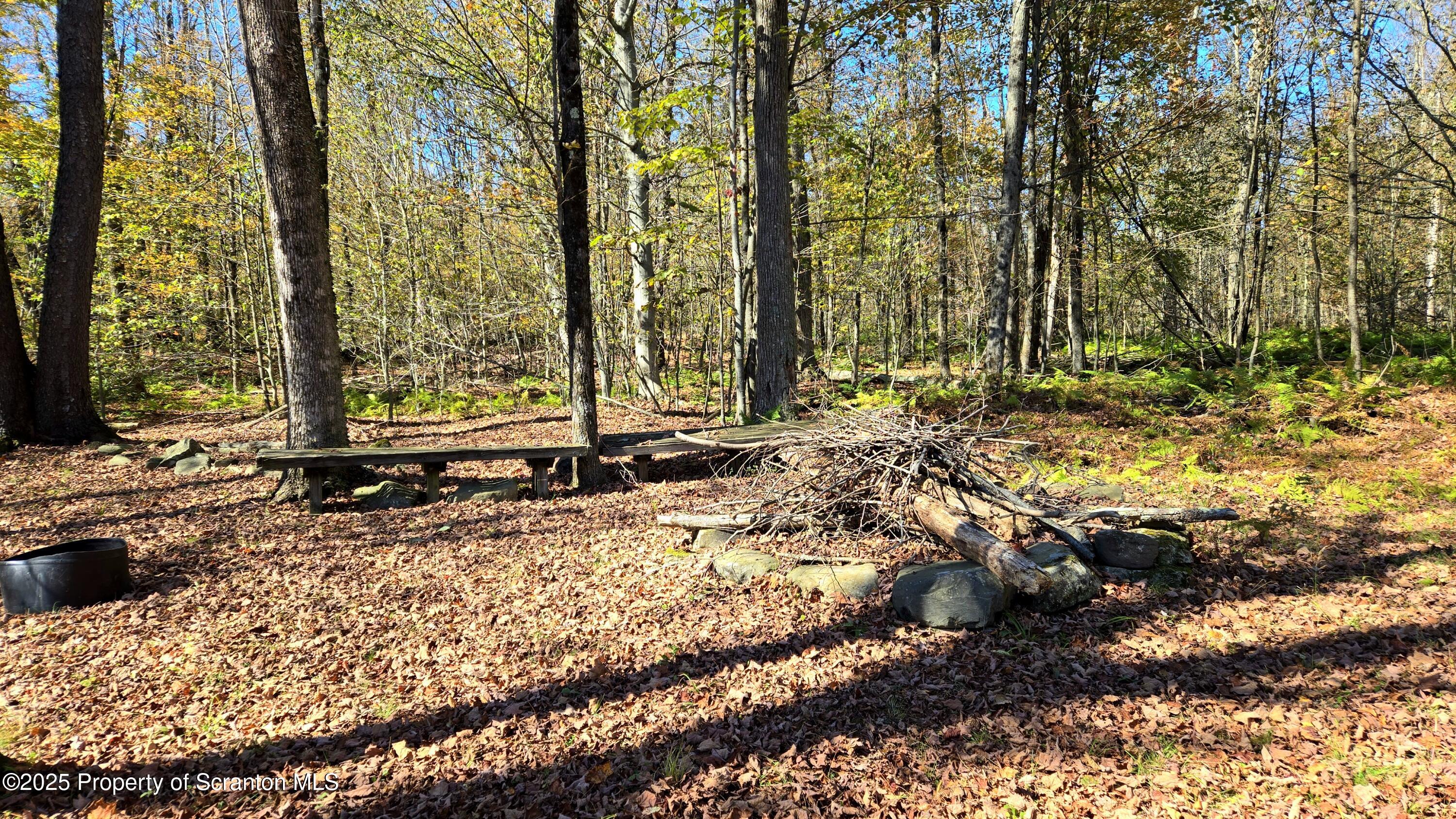 2311 Motichka Road Moscow, PA 18444 - Photo 82 of 89 20251010_133137