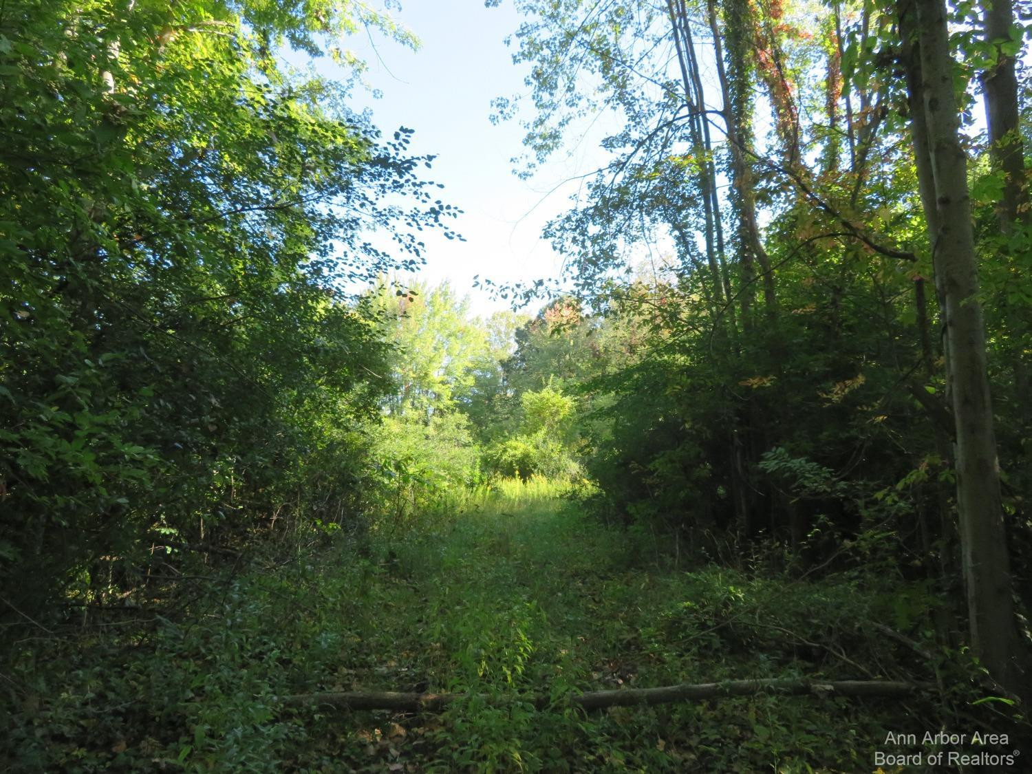 0 Darling Road Milan, MI 48160 - Photo 3 of 11 Photo 3