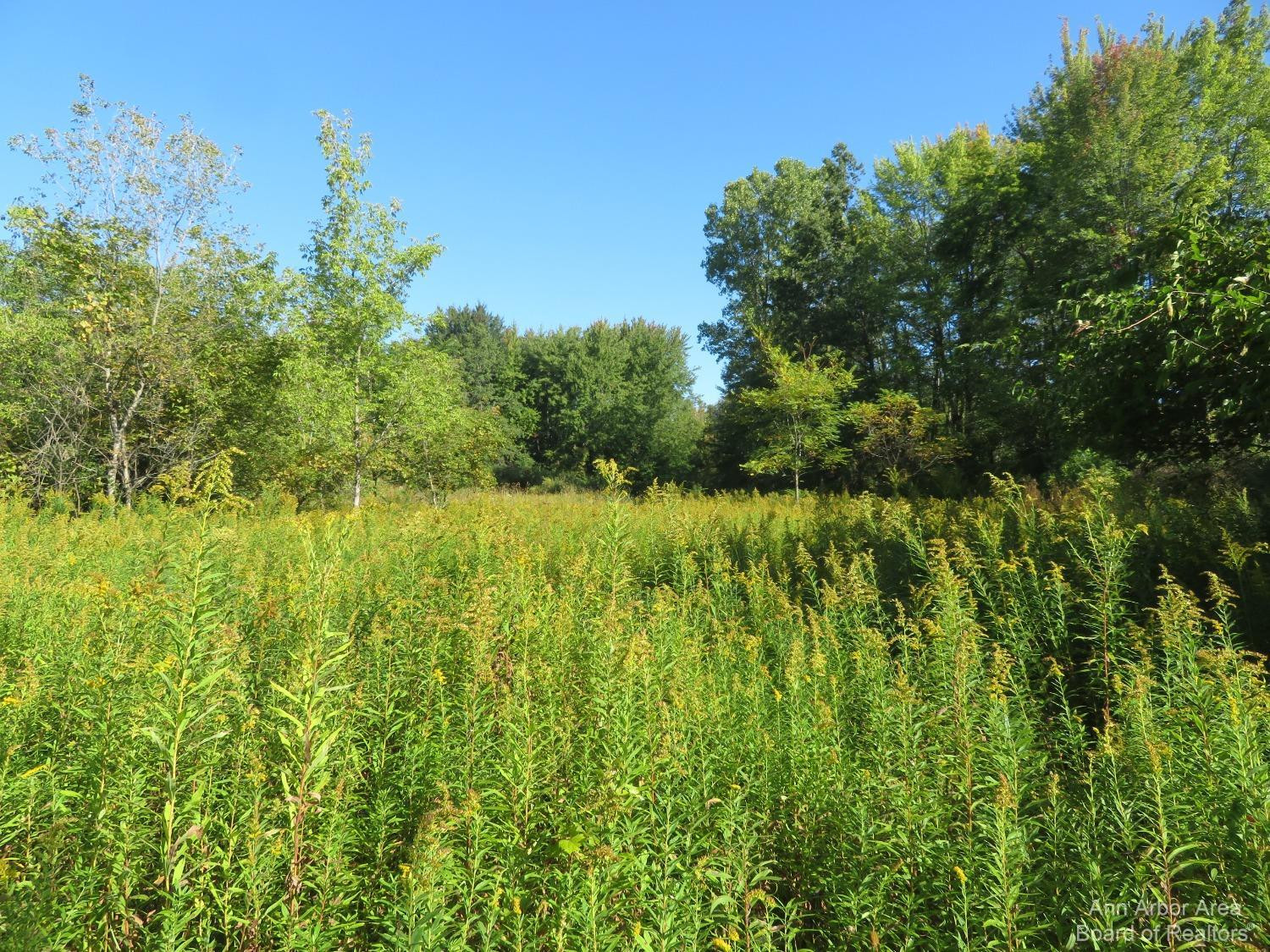 0 Darling Road Milan, MI 48160 - Photo 4 of 11 Photo 4