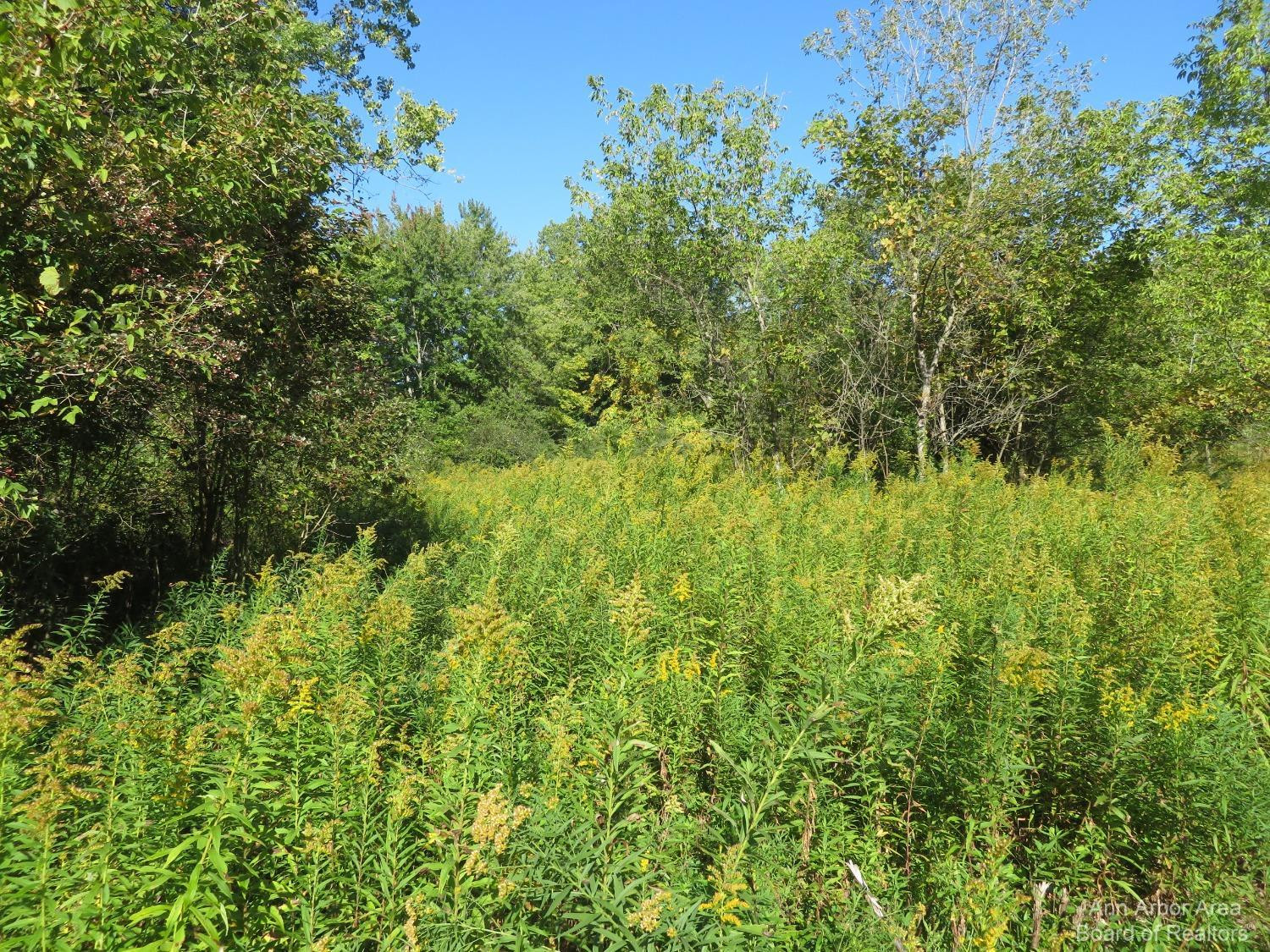 0 Darling Road Milan, MI 48160 - Photo 5 of 11 Photo 5