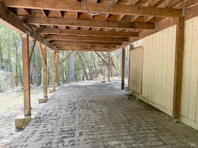a view of backyard with large trees and plants