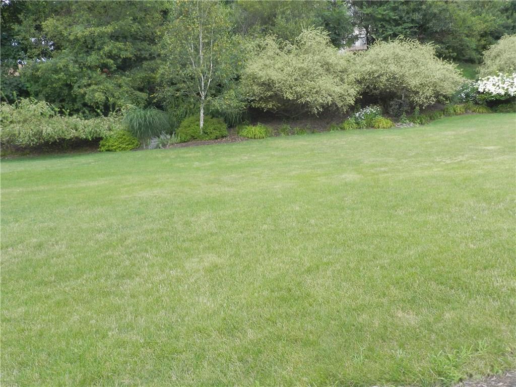 2533 Riva Ridge Court Franklin Park, PA 15090 - Photo 5 of 25 So much privacy!