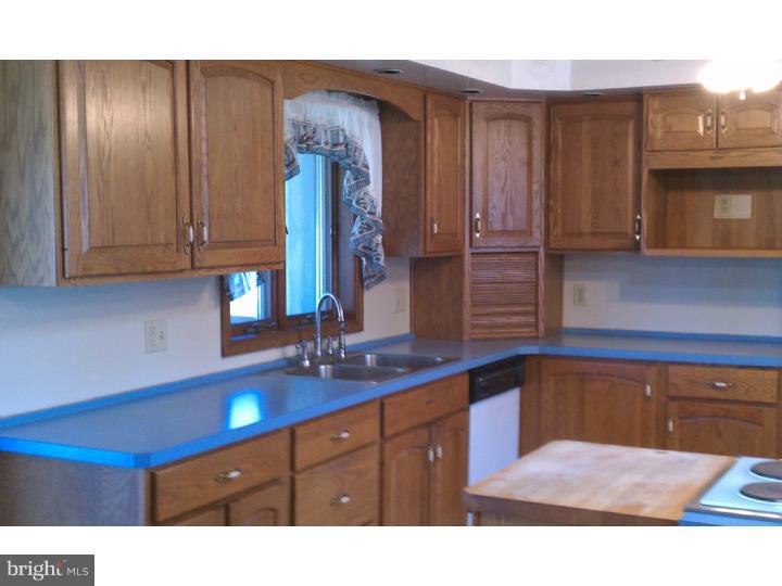 341 Chestnut Street Leesport, PA 19533 - Photo 9 of 15