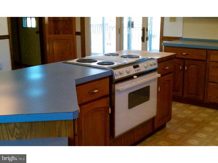 341 Chestnut Street Leesport, PA 19533 - Photo 10 of 15