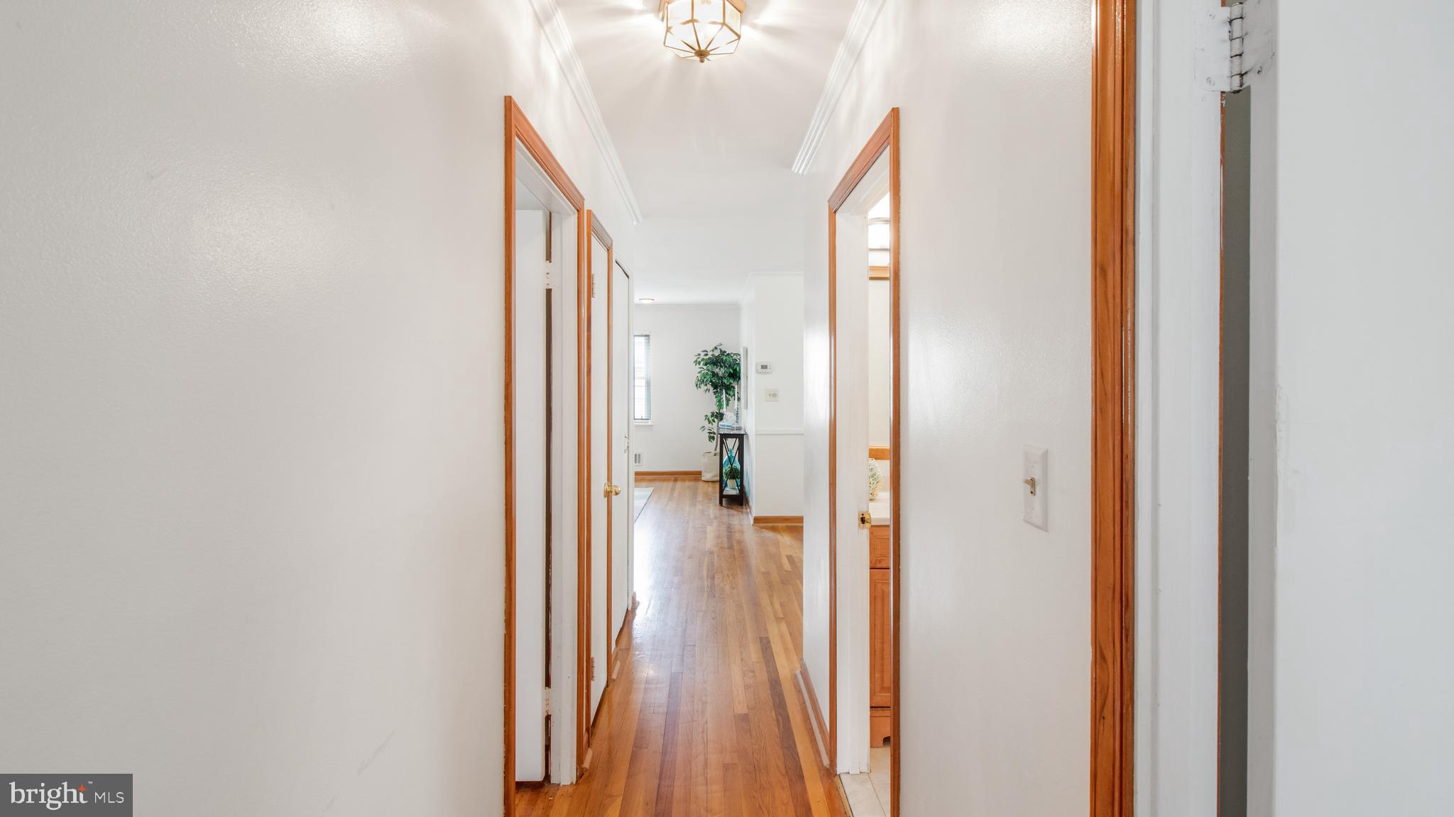 1428 Gibsonwood Road Baltimore, MD 21228 - Photo 20 of 58 Gallery Image 20