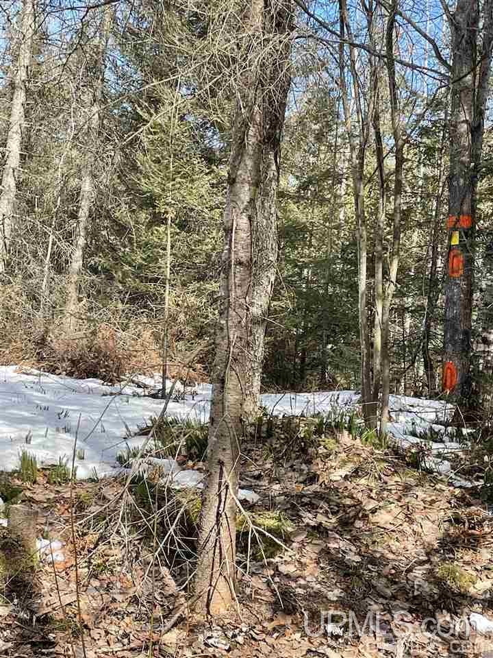 Tbd Tbd Co Road, Unit 1 Marquette, MI 49855 - Photo 40 of 50
