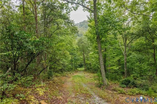 $689,000 | 0 Shiloh Mountain Trail, Schuyler, VA 22969