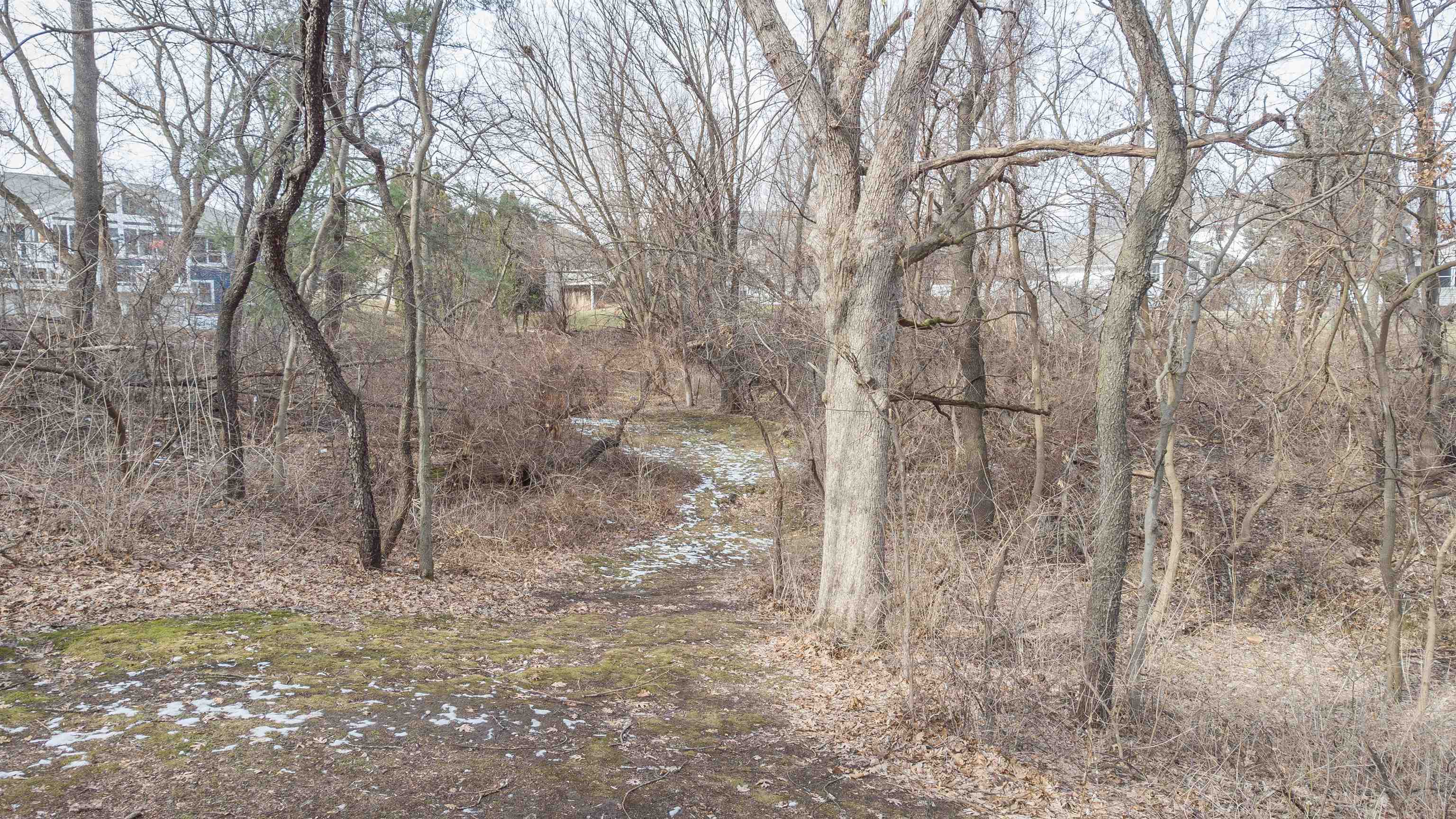 684 Sioux Drive Freeport, IL 61032 - Photo 36 of 44 a view of a yard