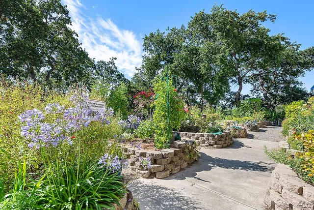 a view of outdoor space pool patio and yard