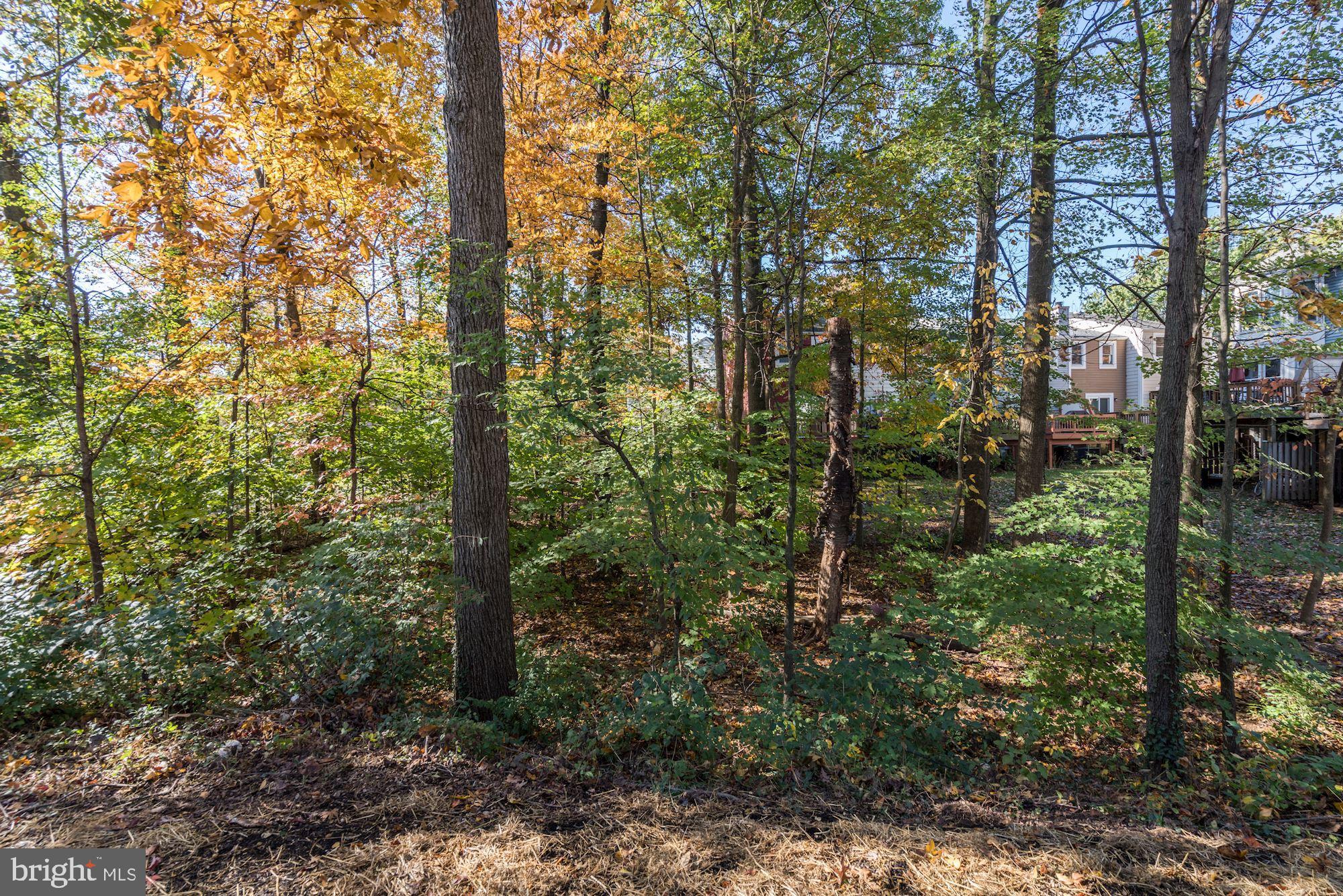 11192 Silentwood Lane Reston, VA 20191 - Photo 28 of 33 Wonderful Views