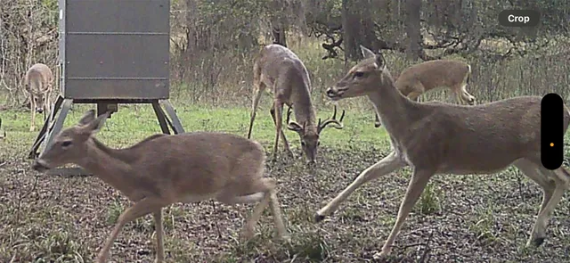 a view of balcony with two chairs and a table