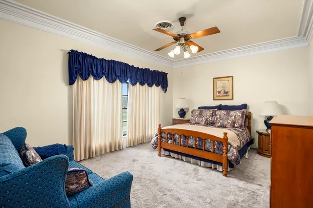 a living room with furniture ceiling fan and a window