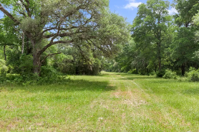 a view of yard with green space