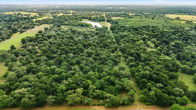 an aerial view of residential houses with outdoor space and trees