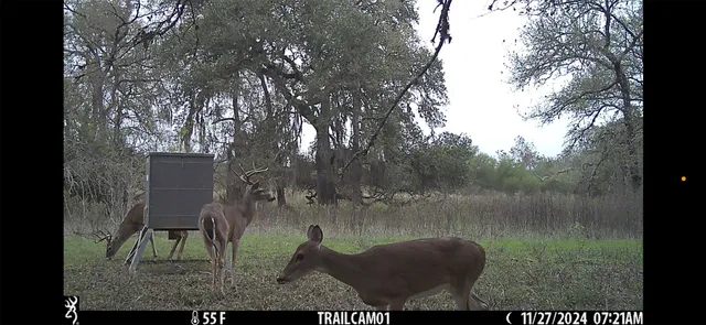a view of a back yard