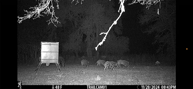 $4,590,000 | 2751 FM 2434, Columbus, TX 78934