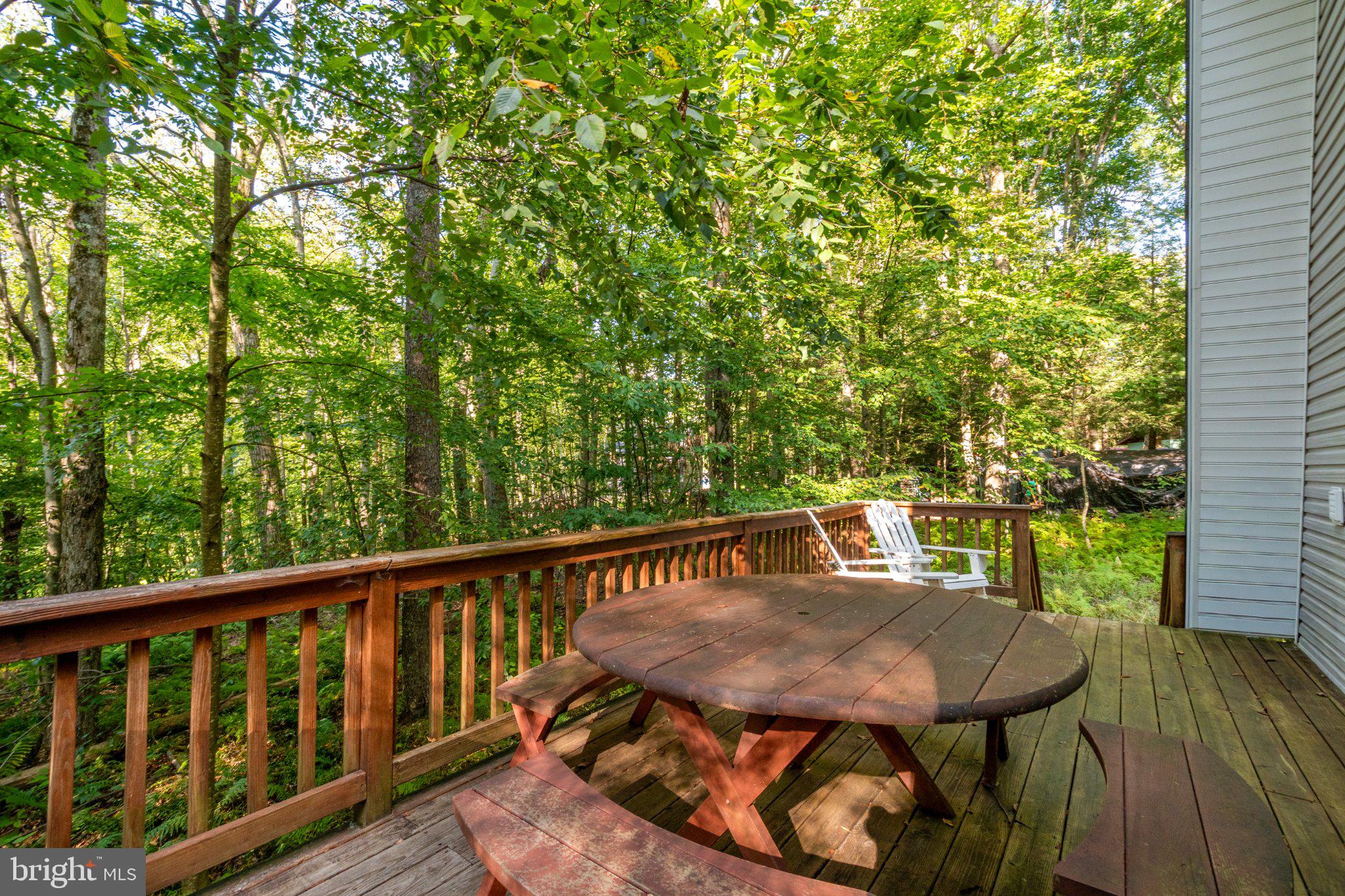 80 North Ridge Road McHenry, MD 21541 - Photo 43 of 44 Gallery Image 43