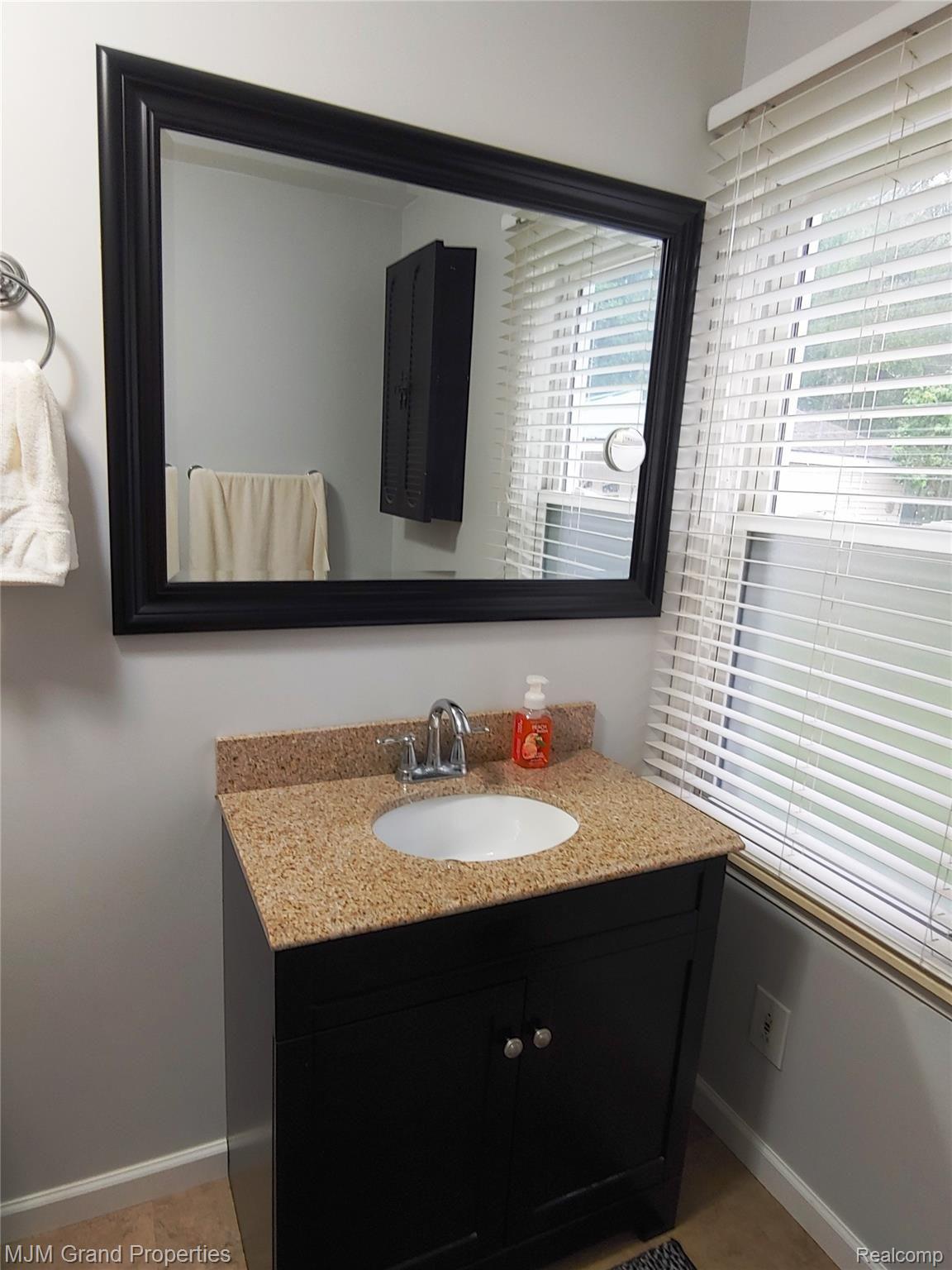 38915 Wade Road Romulus, MI 48174 - Photo 14 of 24 Master Bath Pic 3.jpg