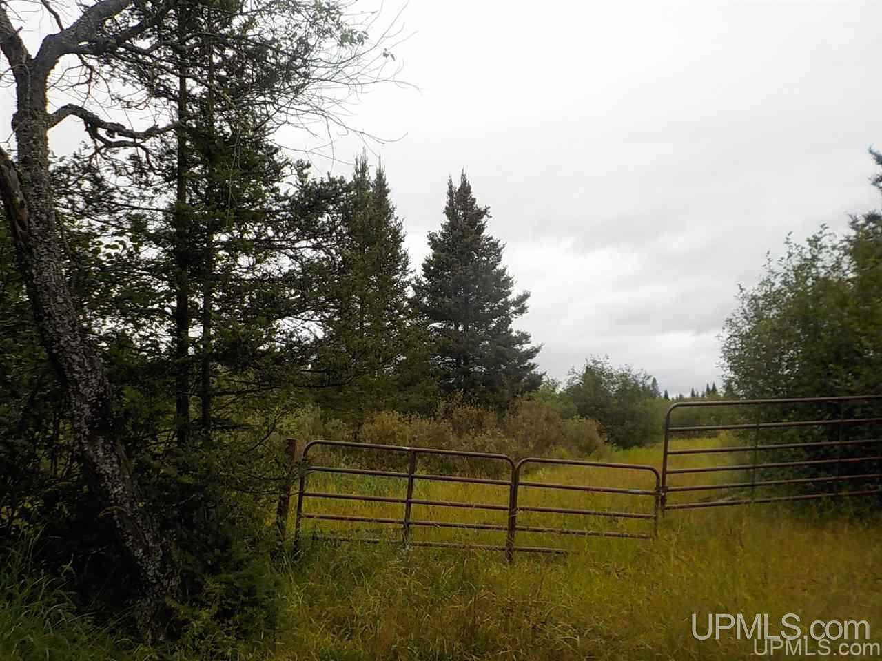 196.2-ac East Cable Lake Road Crystal Falls, MI 49920 - Photo 5 of 17