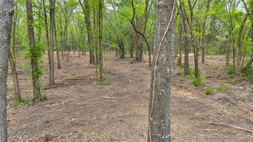 1411 Vz County Road 2139 Wills Point, TX 75169 - Photo 8 of 38