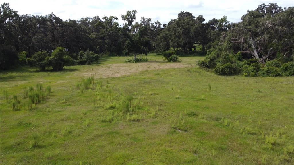 772 C Cr Webster, FL 33597 - Photo 12 of 19 a view of an outdoor space and a yard