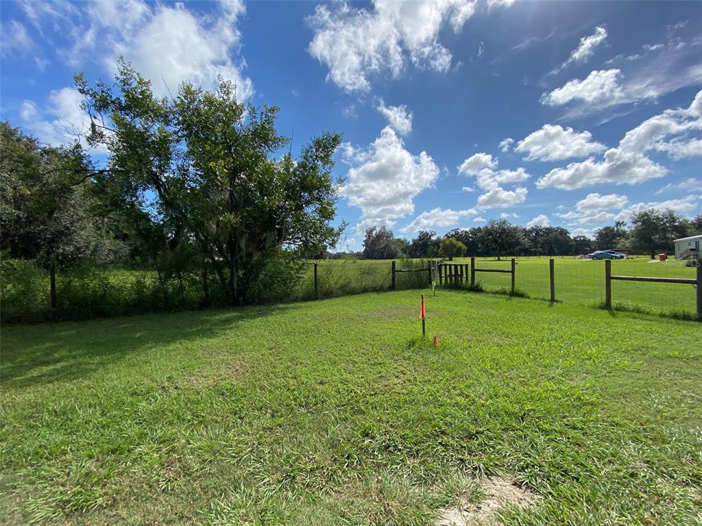 772 C Cr Webster, FL 33597 - Photo 15 of 19 a view of a backyard